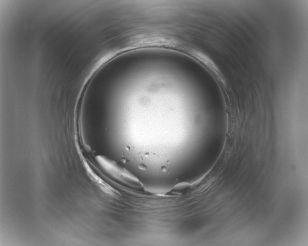 X0000065261439200602171443