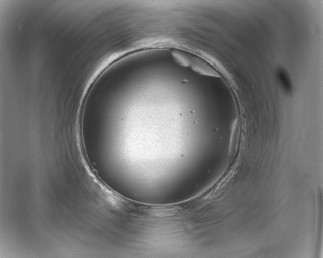 X0000065261440200602171443