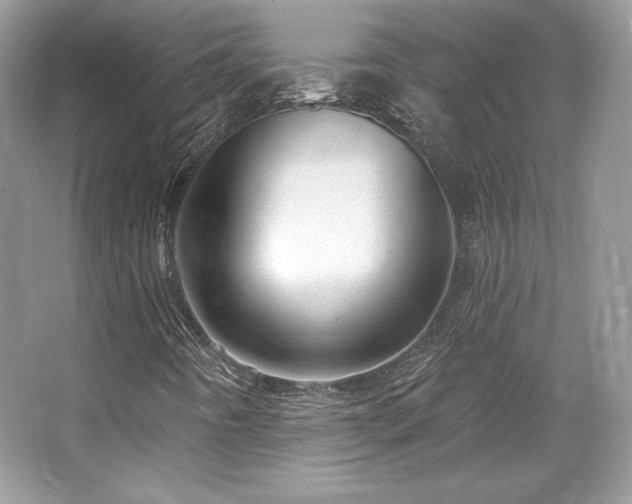 X0000065261442200602171442