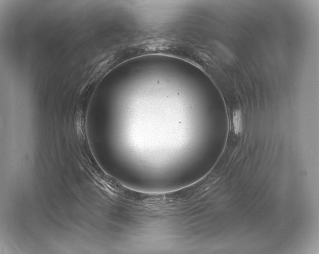 X0000065261444200602171442