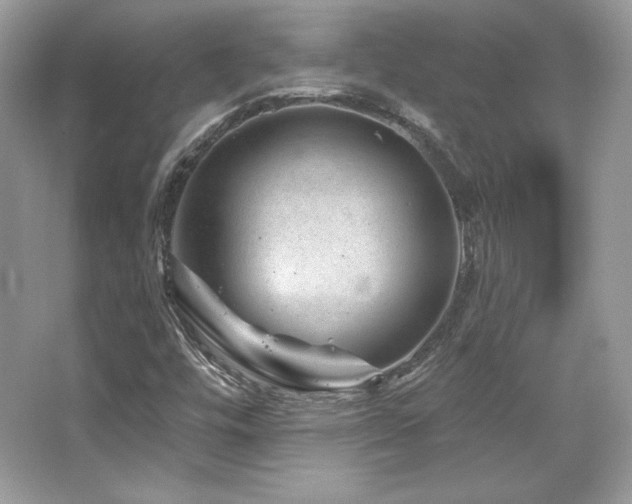 X0000065261448200602171442