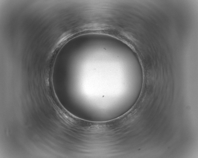 X0000065261451200602171442