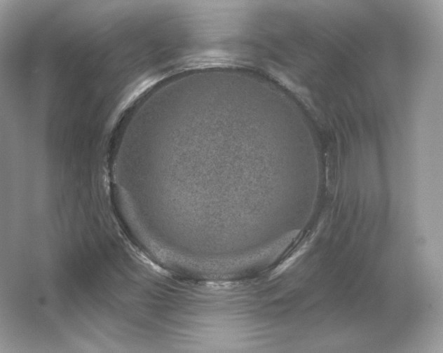 X0000065261453200602171442