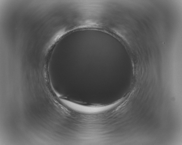 X0000065261455200602171442