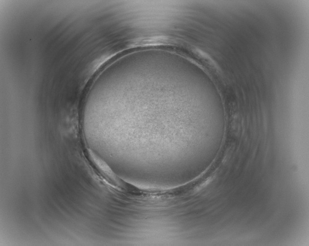 X0000065261457200602171442