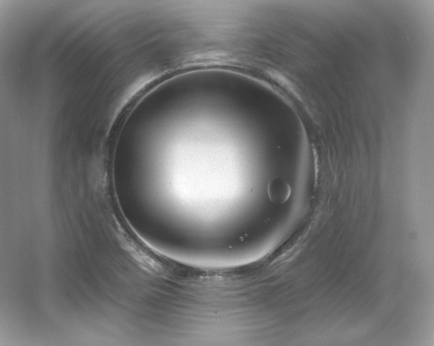 X0000065261458200602171442