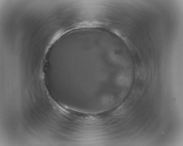 X0000065261459200602171442