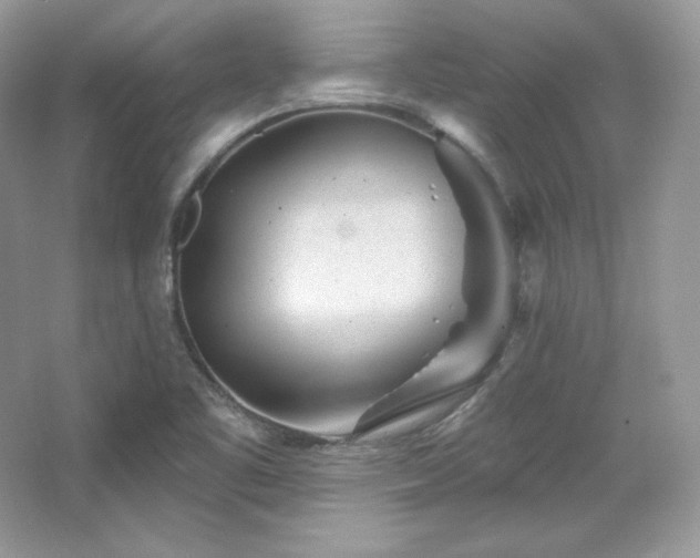 X0000065261461200602171441