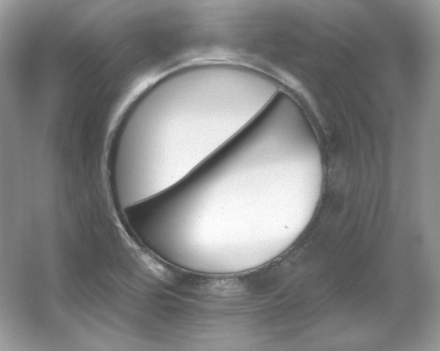 X0000065261464200602171441