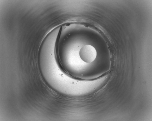 X0000065261465200602171441