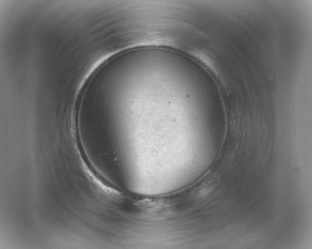 X0000065261468200602171441