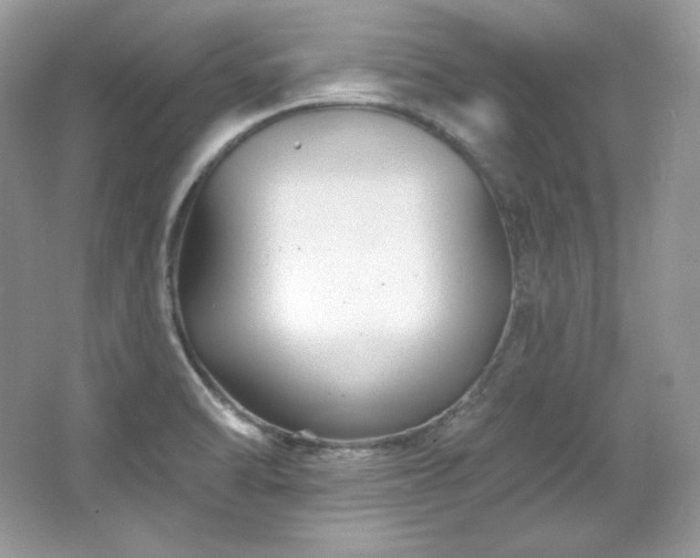 X0000065261470200602171441