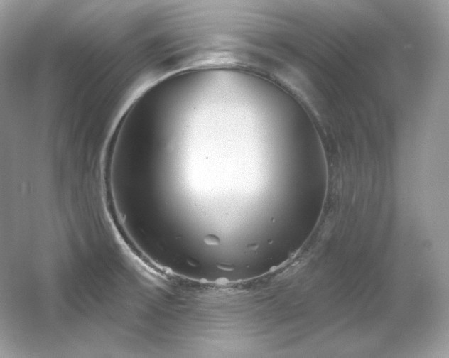 X0000065261475200602171441