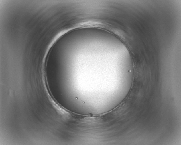 X0000065261478200602171441