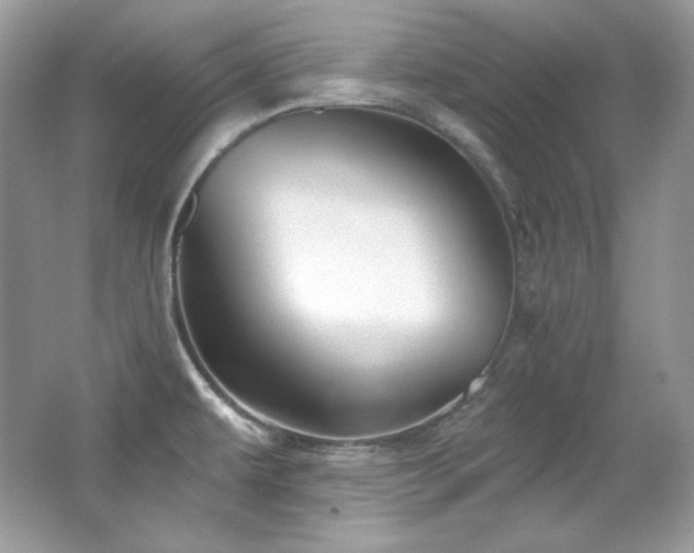 X0000065261479200602171441