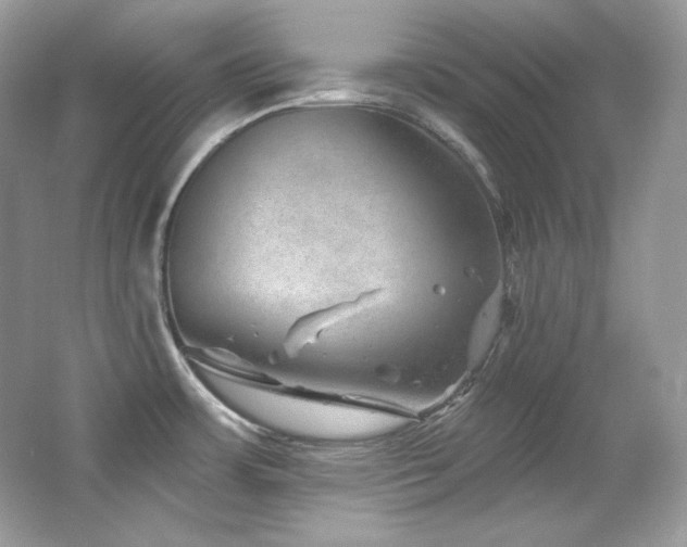 X0000065261483200602171441