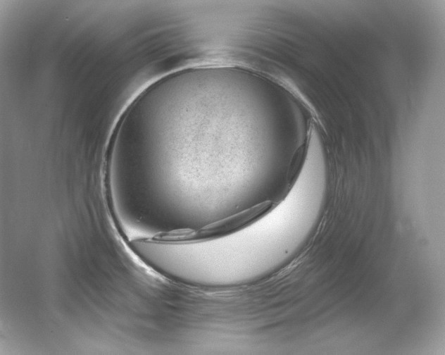 X0000065261484200602171441