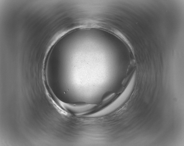 X0000065261485200602171441