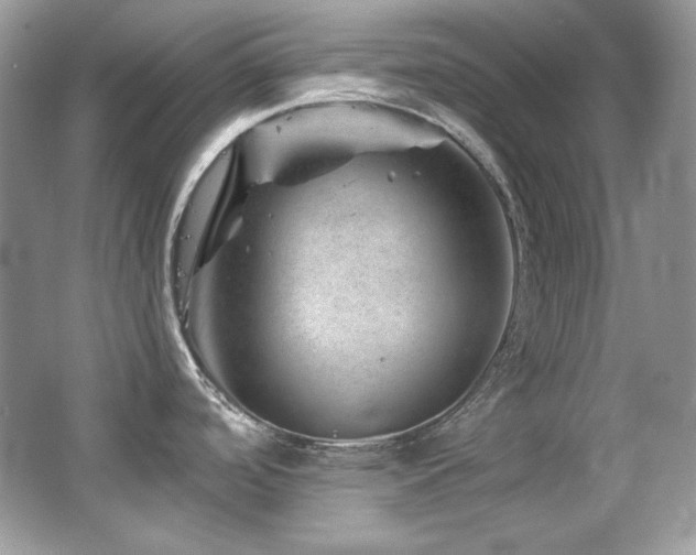 X0000065261488200602171441