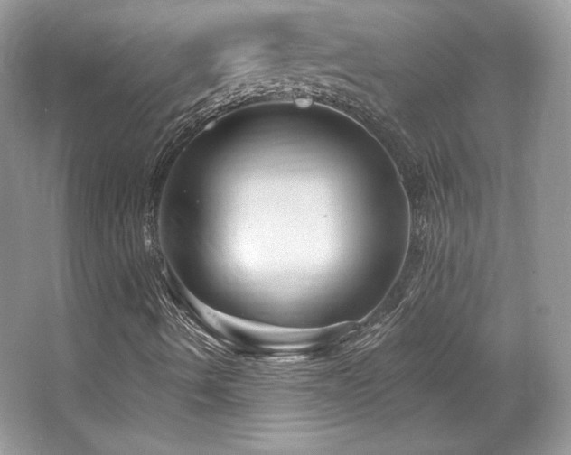 X0000065261490200602171440