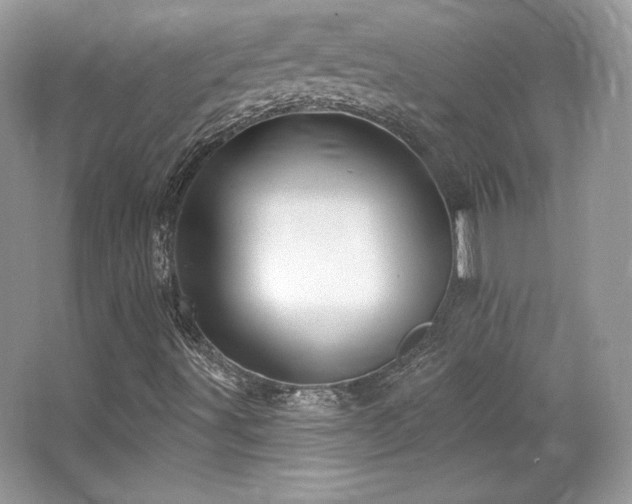 X0000065261491200602171440