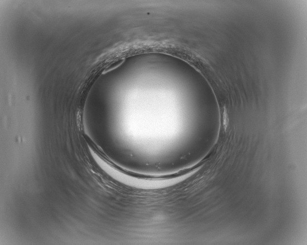 X0000065261492200602171440