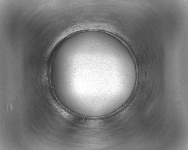 X0000065261498200602171440