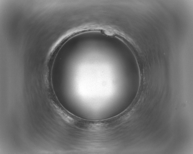 X0000065261502200602171440