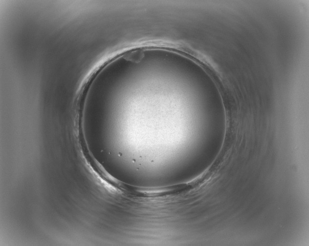 X0000065261504200602171440