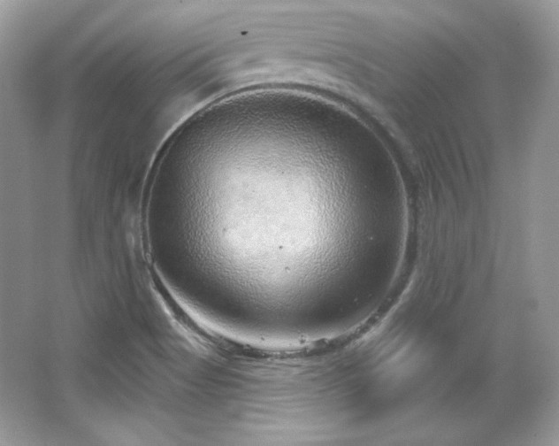 X0000065261513200602171441