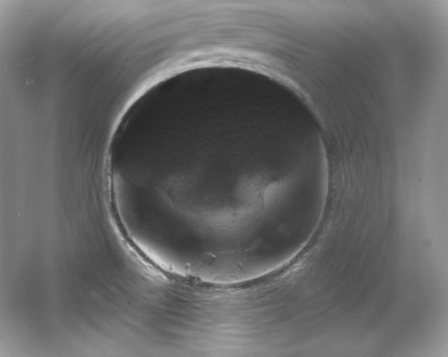 X0000065261522200602171441