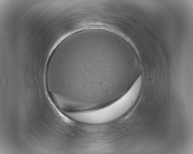 X0000065261533200602171441