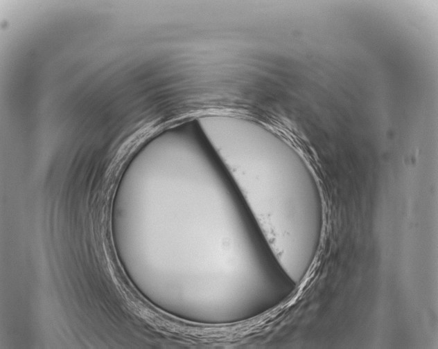 X0000065260001200602211301