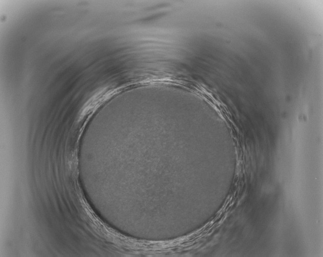 X0000065260002200602211301