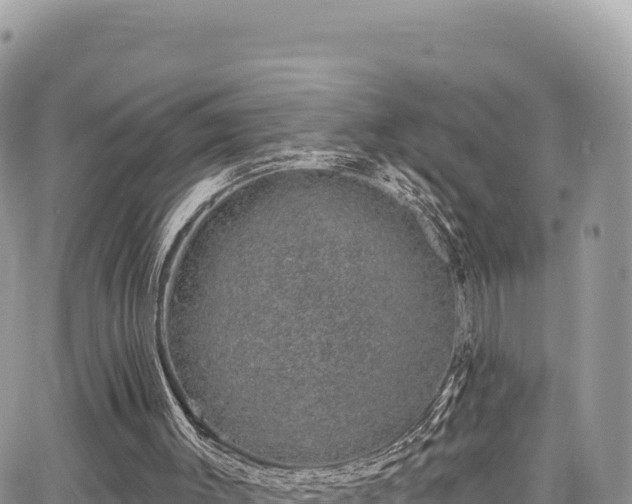 X0000065260003200602211301