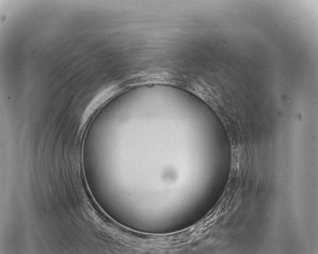 X0000065260004200602211301