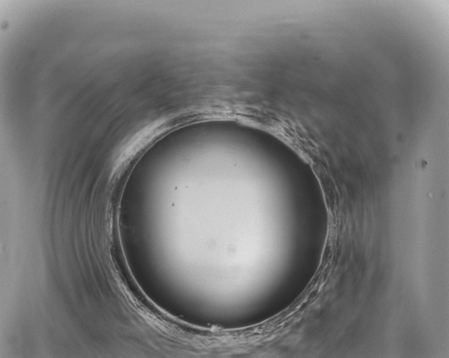 X0000065260005200602211301