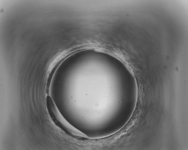 X0000065260007200602211301