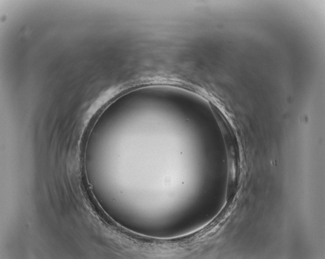 X0000065260008200602211301