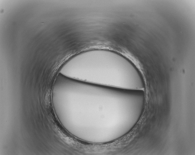 X0000065260009200602211301