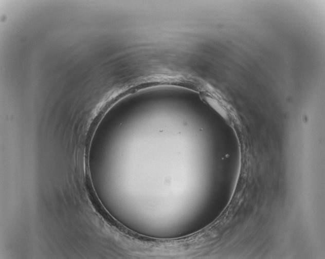 X0000065260011200602211301