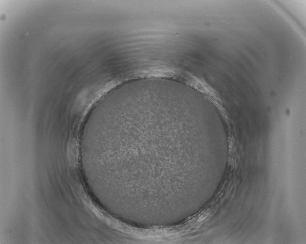 X0000065260012200602211301