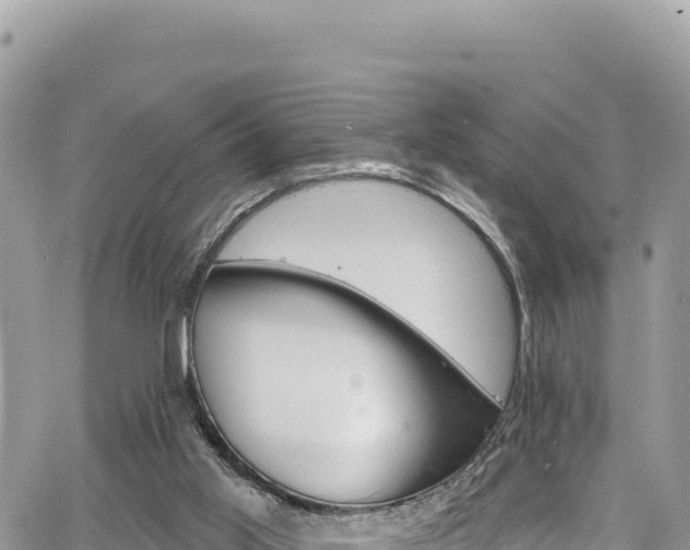 X0000065260013200602211301