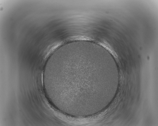 X0000065260014200602211301