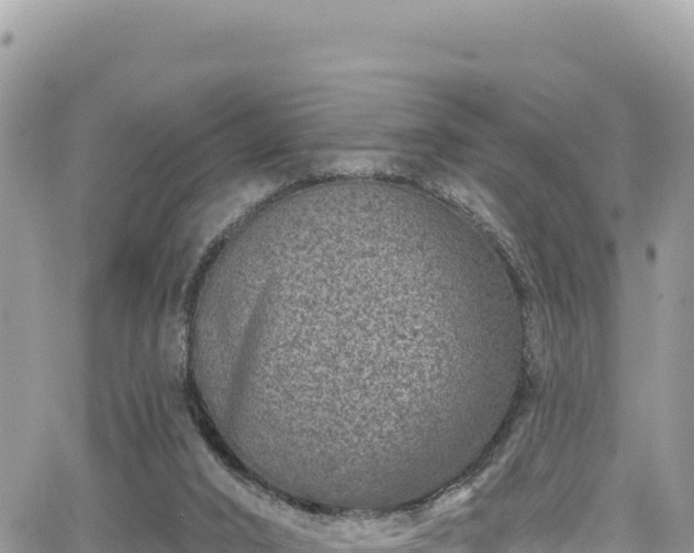 X0000065260016200602211301