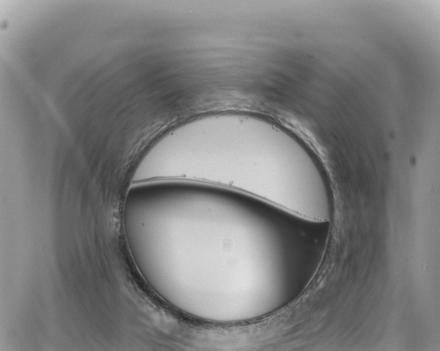 X0000065260017200602211301