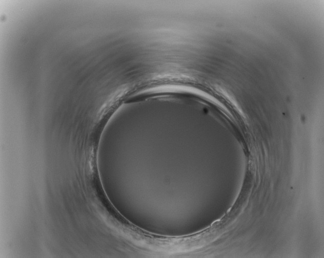 X0000065260023200602211301