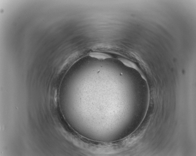 X0000065260024200602211301