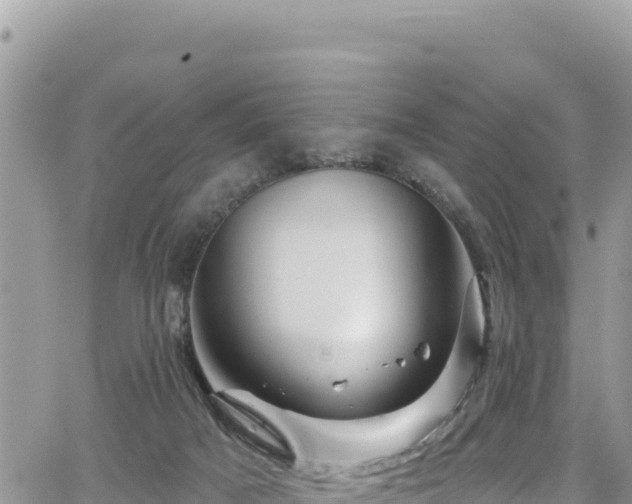 X0000065260025200602211301