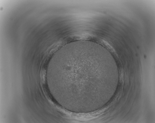 X0000065260026200602211301